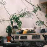 coffee shop equipment checklist including espresso machine grinder and cafe essentials