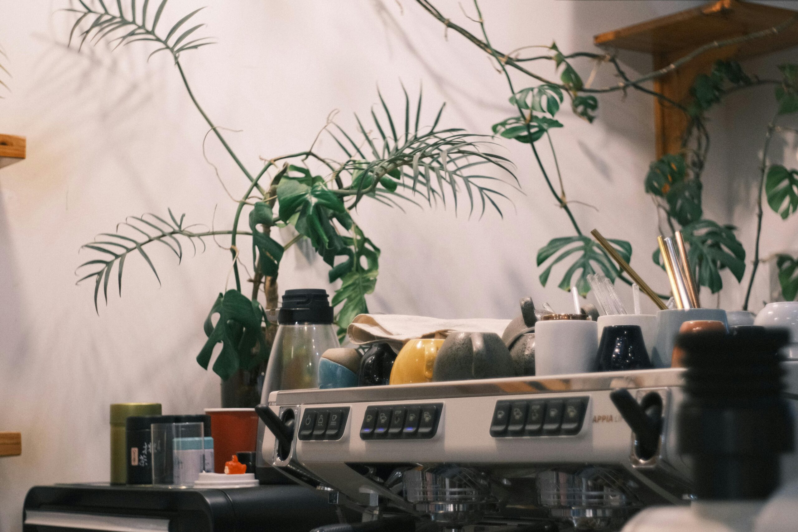 coffee shop equipment checklist including espresso machine grinder and cafe essentials